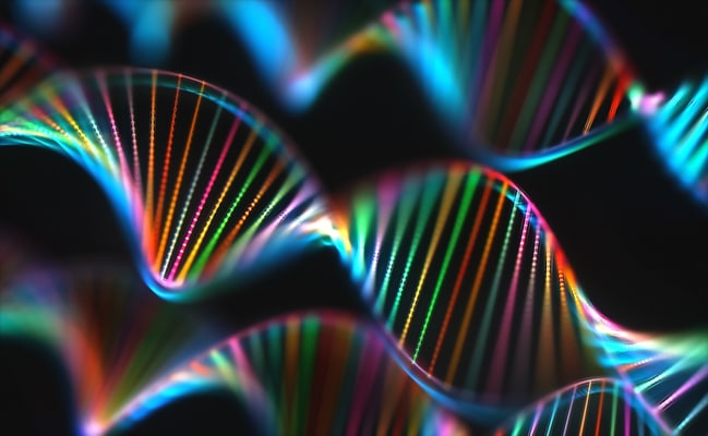 DNA Alleinstellungsmerkmal